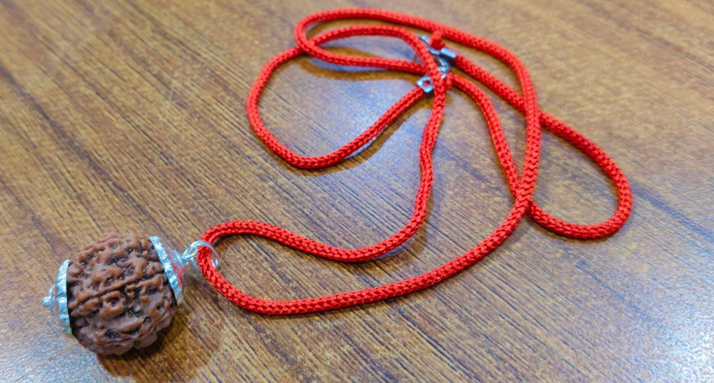 7 Mukhi Rudraksha Silver Capped Pendant